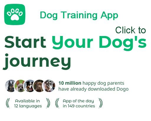 DOGO App