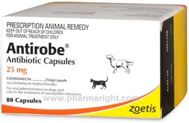 Antirobe (Clindamycin)