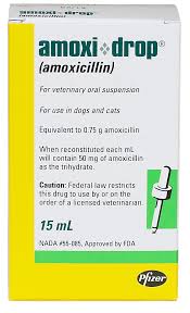 Amoxicillin Suspension