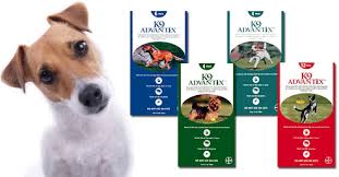 K9 Advantix for Dogs