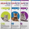 Bravecto Plus for Cats
