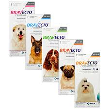 Bravecto for Dogs