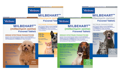 Interceptor for Dogs