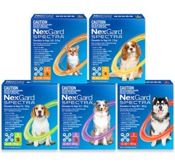 Nexgard Spectra for Dogs