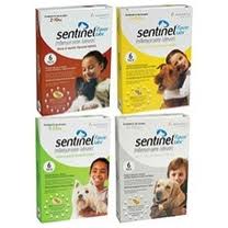 Sentinel for Dogs
