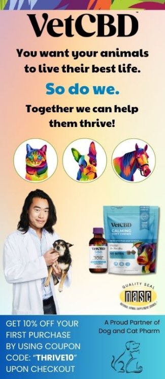 CBD for Pets, Horses