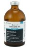 Lidocaine 2%