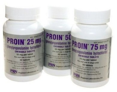 Proin