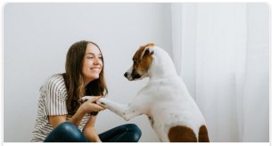 Pet Meds Without Prescription